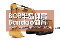 bob半岛体育第一系列