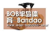 bob半岛体育第二系列